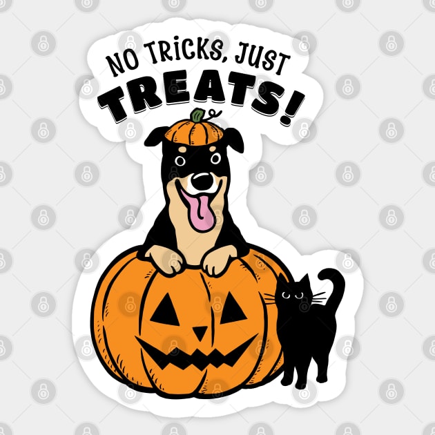 Rottweiler Halloween No Tricks Just Treats Sticker by Coffee Squirrel